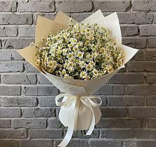 Букет цветов из:  Ромашки в Искитиме