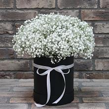 Цветочная композиция из Гипсофила в шляпной коробке в Искитиме
