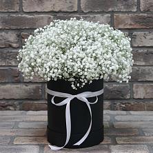 Цветочная композиция из Гипсофила в шляпной коробке в Искитиме