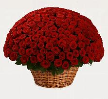 Премиум букет из: Розы в Искитиме